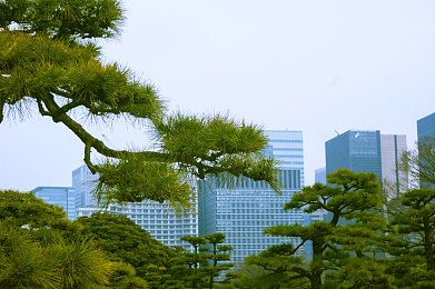 带着你的情怀活下去