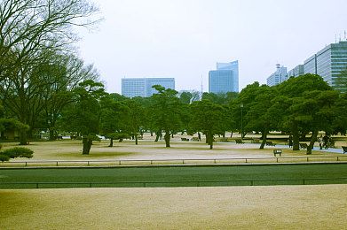 那年那月那故事